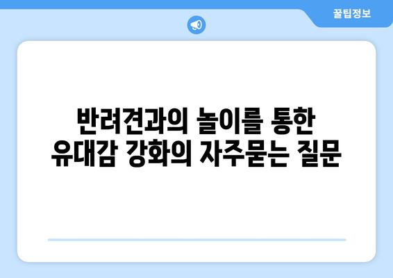 반려견과의 놀이를 통한 유대감 강화