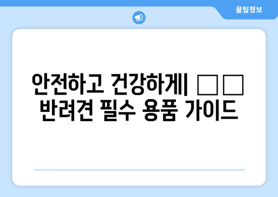 필수 반려견 용품 리스트 소개