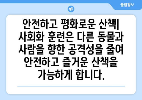 반려견 사회화를 위한 훈련의 중요성