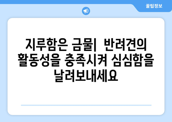 반려견의 정서적 행복을 위한 팁