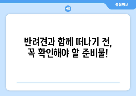 반려견과 함께 떠나는 여행 준비하기