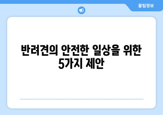 반려견의 안전한 일상 만들기