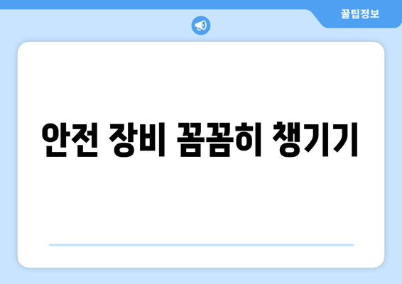 반려견과 안전하게 외출하기 위한 팁