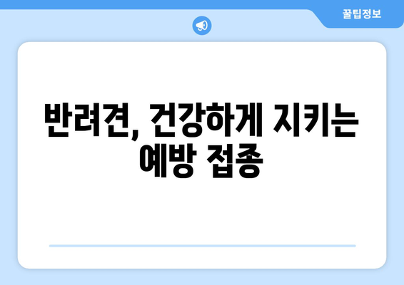 반려견의 안전한 일상 만들기