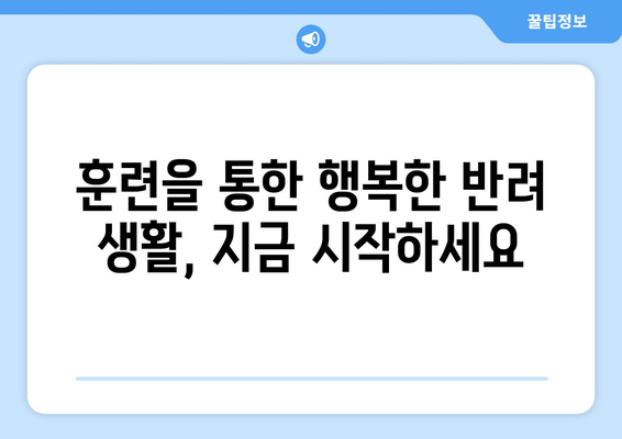 효과적인 반려견 훈련 방법과 원칙