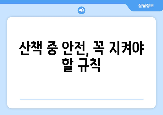 반려견의 안전한 일상 만들기