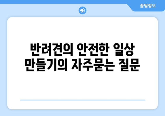 반려견의 안전한 일상 만들기