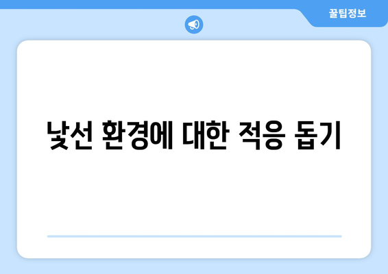 반려견과 안전하게 외출하기 위한 팁