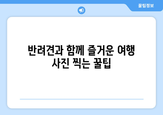 반려견과 함께 떠나는 여행 준비하기