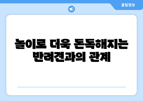 반려견과의 놀이를 통한 유대감 강화