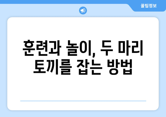 반려견과의 놀이를 통한 유대감 강화