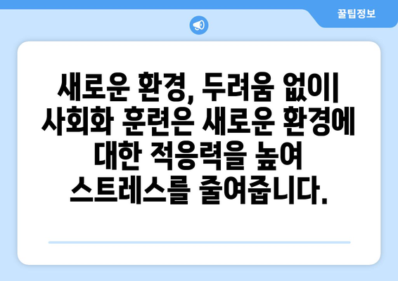 반려견 사회화를 위한 훈련의 중요성