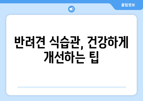 반려견 건강을 위한 올바른 식사 가이드