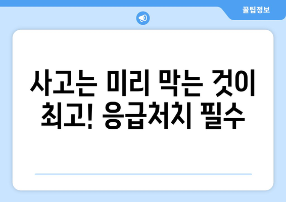 반려견의 안전한 일상 만들기