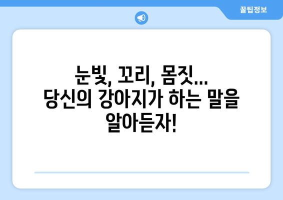 반려견과 소통하는 방법과 기술