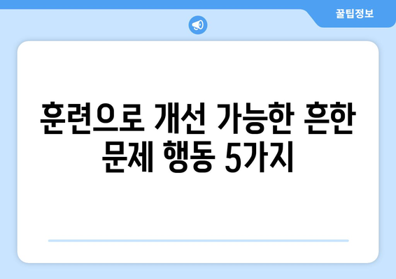 반려견 행동 문제 해결을 위한 방법