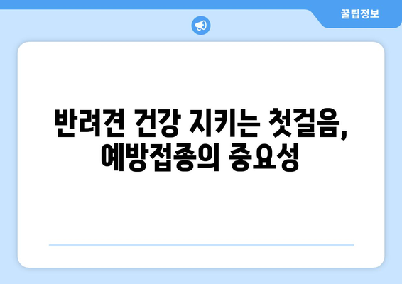 반려견 예방접종과 건강 검진의 필요성