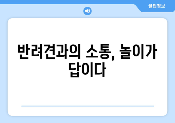 반려견과의 놀이를 통한 유대감 강화