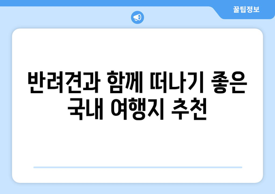 반려견과 함께 떠나는 여행 준비하기