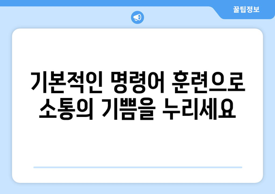 효과적인 반려견 훈련 방법과 원칙