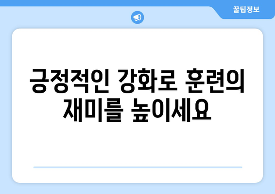 효과적인 반려견 훈련 방법과 원칙