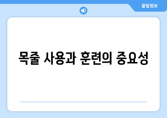 반려견과 안전하게 외출하기 위한 팁