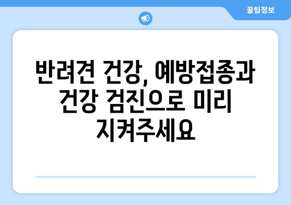 반려견 예방접종과 건강 검진의 필요성