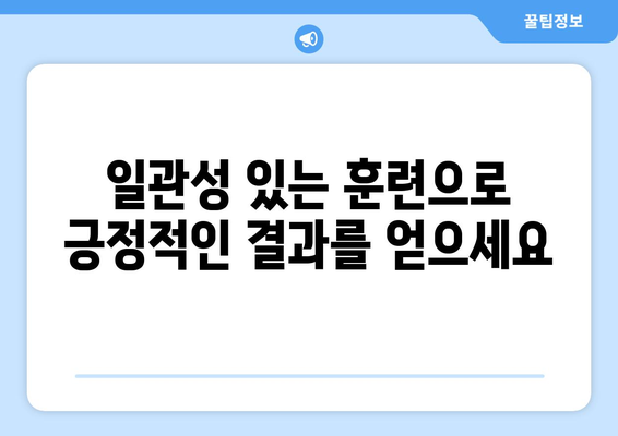 효과적인 반려견 훈련 방법과 원칙