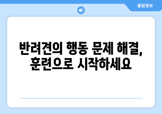 효과적인 반려견 훈련 방법과 원칙