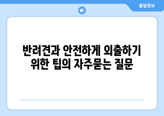 반려견과 안전하게 외출하기 위한 팁