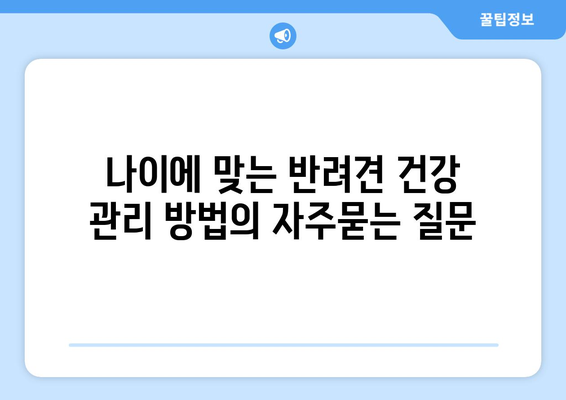 나이에 맞는 반려견 건강 관리 방법