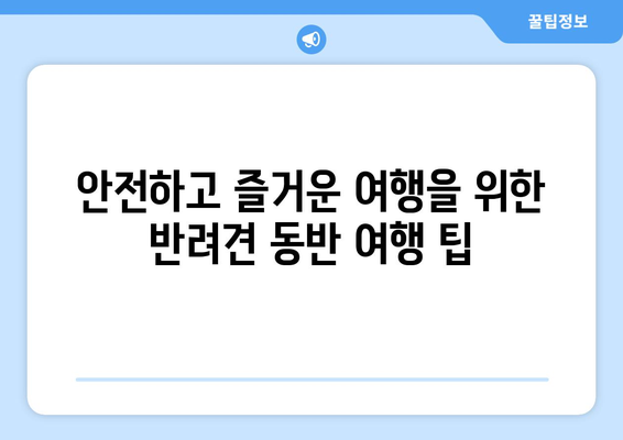 반려견과 함께 떠나는 여행 준비하기