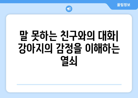 반려견과 소통하는 방법과 기술