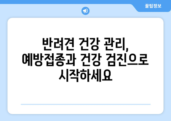 반려견 예방접종과 건강 검진의 필요성