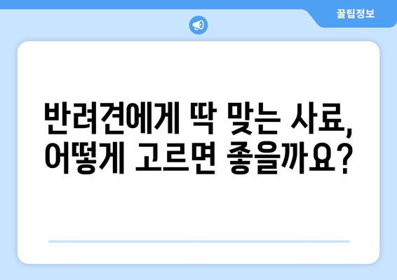 반려견 건강을 위한 올바른 식사 가이드