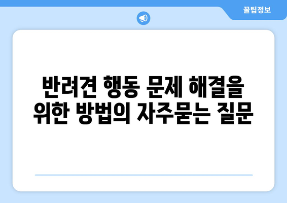 반려견 행동 문제 해결을 위한 방법