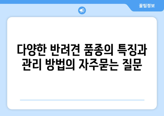 다양한 반려견 품종의 특징과 관리 방법