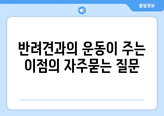 반려견과의 운동이 주는 이점