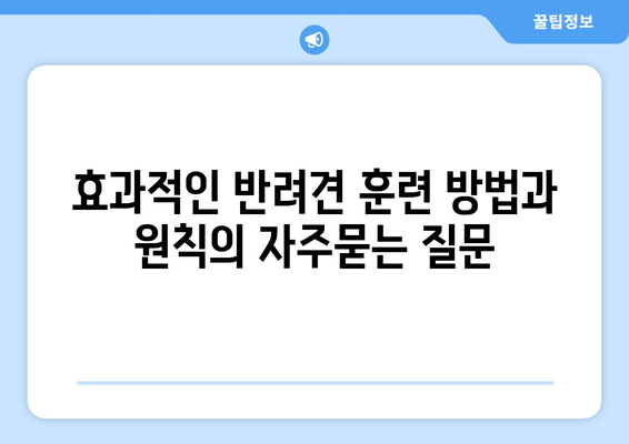 효과적인 반려견 훈련 방법과 원칙