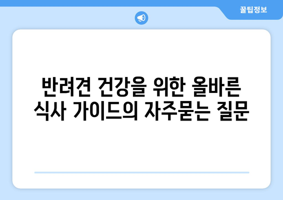 반려견 건강을 위한 올바른 식사 가이드