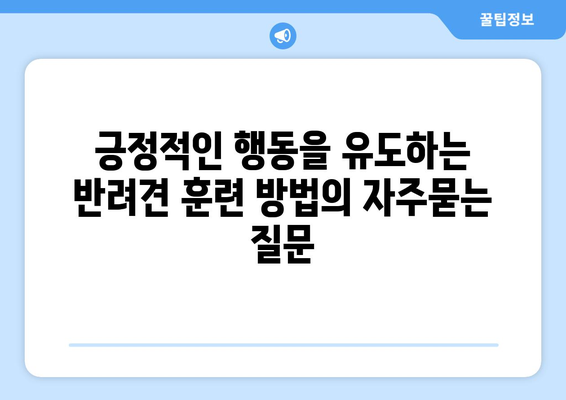 긍정적인 행동을 유도하는 반려견 훈련 방법