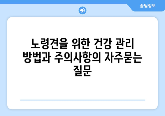 노령견을 위한 건강 관리 방법과 주의사항