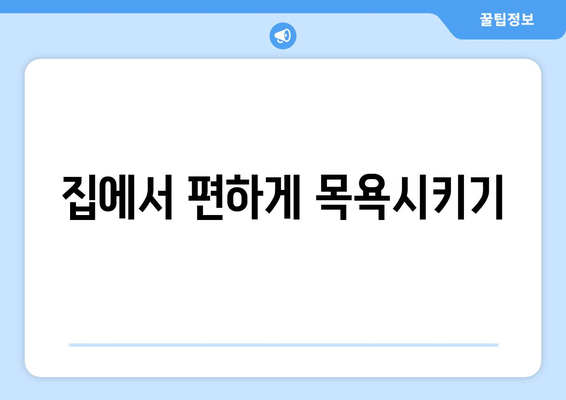 실내에서 할 수 있는 반려견의 목욕과 털 관리