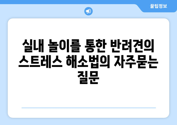 실내 놀이를 통한 반려견의 스트레스 해소법