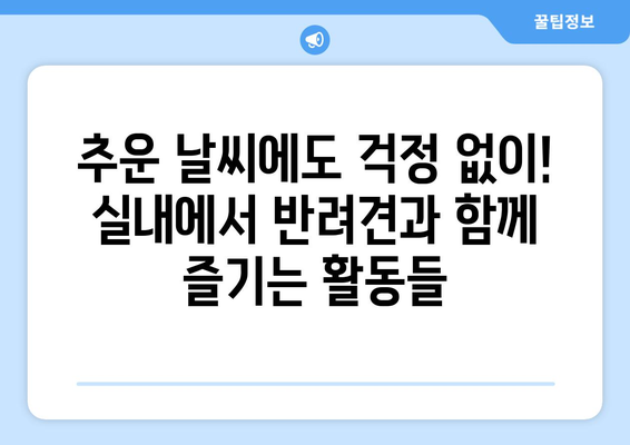 실내에서 반려견과 함께 할 수 있는 놀이 아이디어