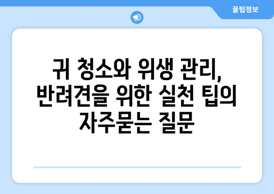 귀 청소와 위생 관리, 반려견을 위한 실천 팁