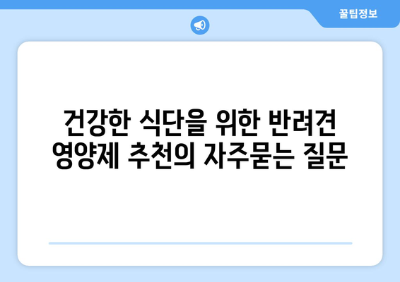 건강한 식단을 위한 반려견 영양제 추천