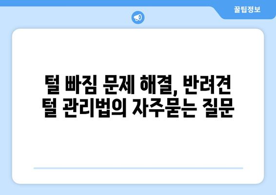 털 빠짐 문제 해결, 반려견 털 관리법