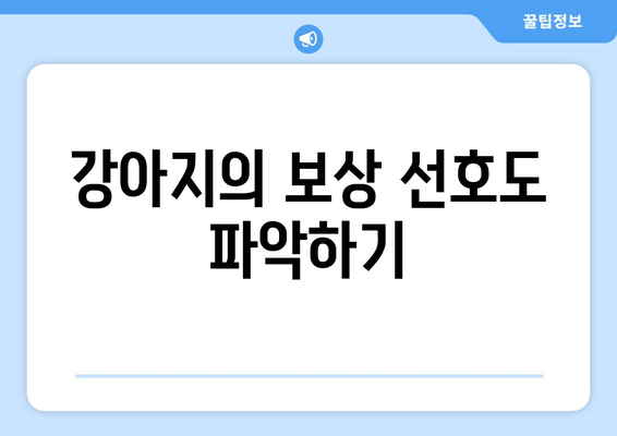 긍정적인 행동을 위한 반려견 훈련 강화 방법