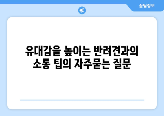 유대감을 높이는 반려견과의 소통 팁